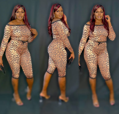 Leopard set